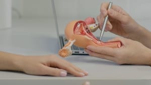 doctor explaining uterus before Tubal Ligation