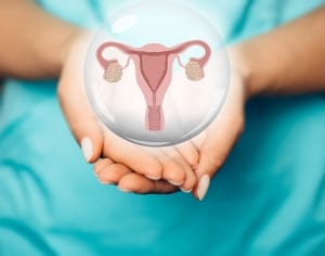 Gynecologist Showing A Virtual uterus